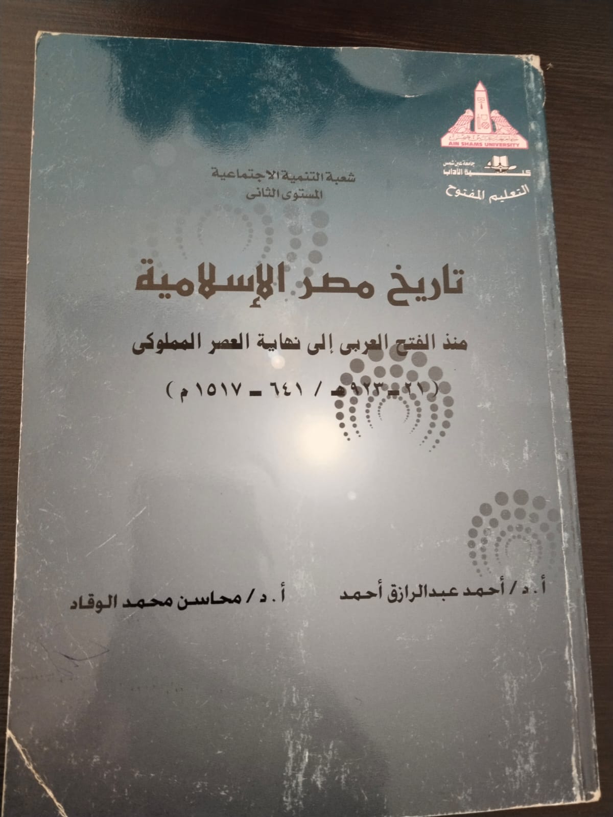 تاريخ مصر الإسلامية (منذ الفتح العربي إلي نهاية العصر المملوكي)