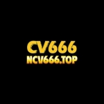 Ncv666