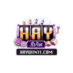 Haywin11com
