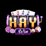 Haywingames