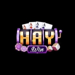 Haywin