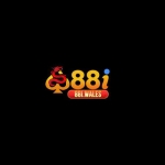 88I wales