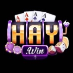 Haywin2026io