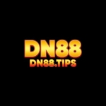 DN88