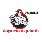 ĐÁ GÀ TRỰC TIẾP