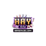 Haywin - Link Truy Cập Cổng Game Giải Trí Trực Tuyến 2026