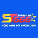 ST666 Chicagofound