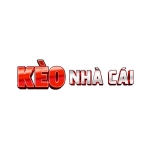 Tỷ lệ bóng đá kèo nhà cái